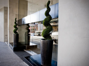 Hotel Indigo Sydney Potts Point, an IHG Hotel