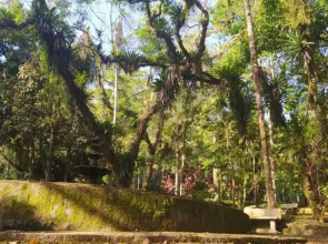 Apartamento dos Sonhos