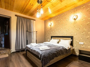 Guest house Imedi