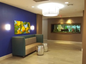 Holiday Inn Express Pearland