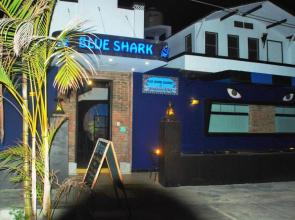 Blue Shark Apartments