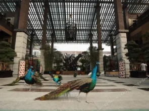 Tianci Huatang Forest Hot Spring Resort Hotel (Chongqing Lushan Branch)