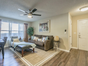 Clearwater Luxury Rental