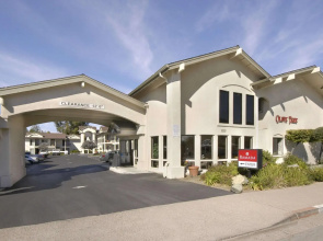 Olive Tree inn & Suites