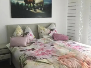 Apartment Elfi