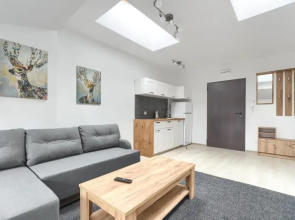 Toress Apartamenty Economy