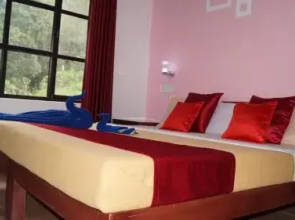 Grace Inn Munnar Homestay