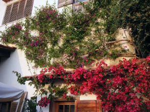 La Fusarella Villa Santoro