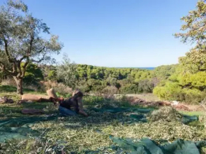 Holiday Home 4 Bedrooms 2 Bathrooms - Vasilikos