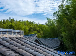 Shunan Bamboo Sea Renjoy Hotel