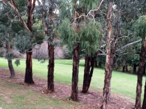 Lakeside Spa Studio Daylesford