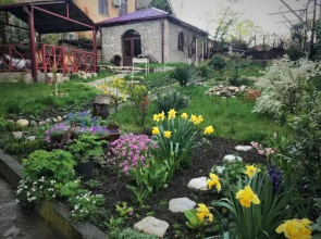 GuestHouse LILIA &Wine Celler