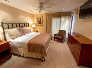 1 Bedroom Condo at the Base of Aspen Mountain, Heart of Downtown