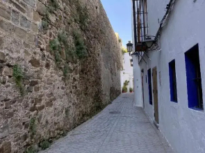 Erizo 3 loft diafáno en el Centro Histórico