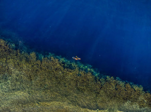 Rixos Sharm El Sheikh Ultra All Inclusive - Adults Friendly