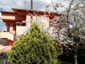 Notti Rosa B&B