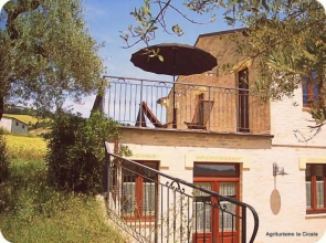La Cicala