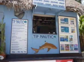 Les Tipaniers