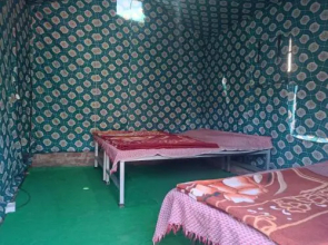 Camp Nature View
