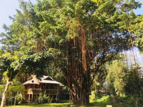 Golden Hut -Chill Bungalows in town黄金泰式传统独栋小屋
