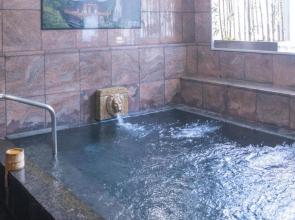 Hotel New Palace