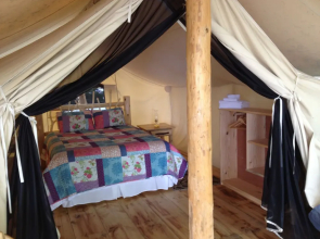 Oakwood Escape - Campsite