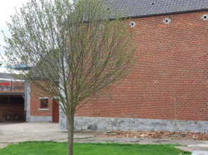 Maison d'Hôtes & Relais Equestre