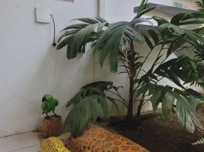 Pousada Paraty Graziela
