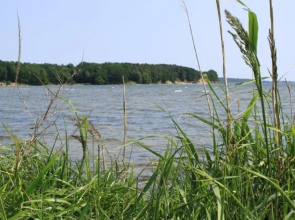 Reetdachhaus Weißdorn 1