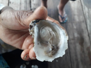 Hostal Casa del Mono Cuco