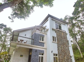 Lvbolang by REINDEER, Sanyi