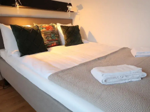 Luxury Business 2 Rooms Apartment up to 3 People By City Living