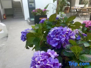 Minyue Xiaozhu Designer Garden B&B (Gongchen Tower Branch) in Weishan Ancient City