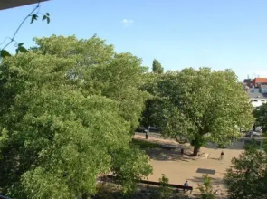 Treetop Apartment