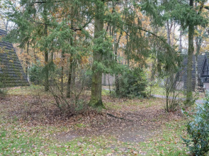 Woodland Bungalow w/ BBQ