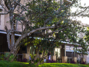 Qaribu Inn