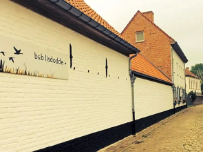 B&B Lisdodde