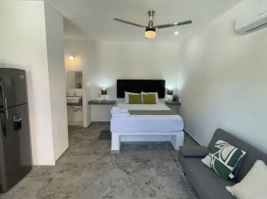 Lavish Studio w Balcony Downtown 4