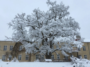 Lindsbergs Kursgard and hostel