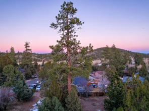 Entertainment Cabin #610