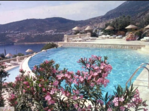Sea view Bougainvillea 52