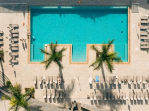 Marinell Collection Palm-Mar
