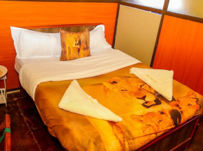 Amanya 2-rooms Lioness Family