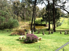 Countryside Connections Tranquil Studio