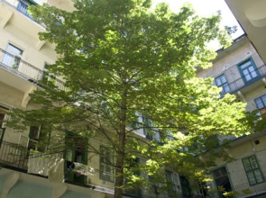 Budapest Easy Flat Oktogon