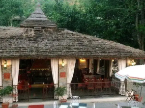 The Aodhi