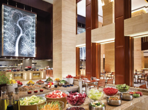 Hyatt Regency Delhi