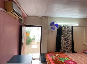 Holud Pakhi