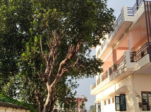 Airport Luxury Nature Valley Homestay