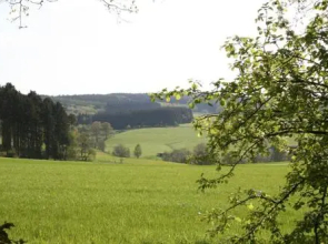 Hotel-Restaurant Haus Berkenbaum
